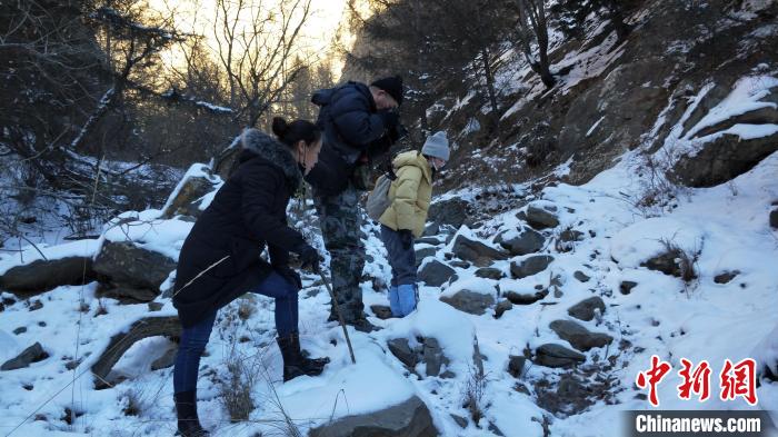 图为工作人员发现疑似放归雪豹的痕迹(资料图)。　内蒙古贺兰山国家级自然保护区供图