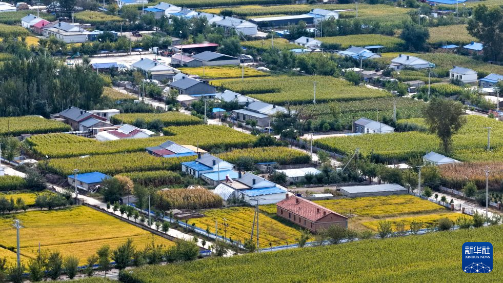 005.jpg