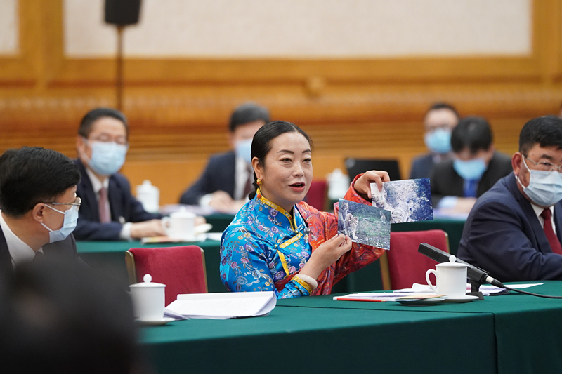 2021年3月7日，习近平总书记在参加十三届全国人大四次会议青海代表团审议时，全国人大代表孔庆菊在会上展示了两张照片，上面分别是祁连山地区多年不见踪迹的雪豹和荒漠猫。