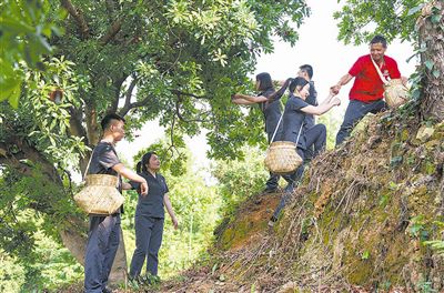 村民帮助志愿者爬上山坡。