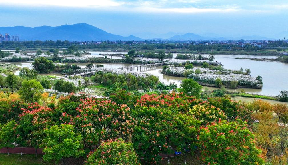 2022年10月11日拍摄的天汉湿地公园景色。新华社发（宋晓丽 摄）