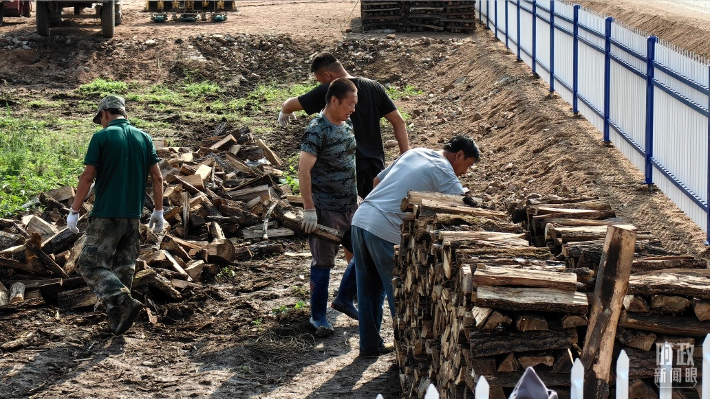 △黑龙江尚志市老街基乡龙王庙村，村民正在整理家中被水冲垮的柴火垛。今年9月，习近平曾到该村考察。（总台央广记者潘毅拍摄）