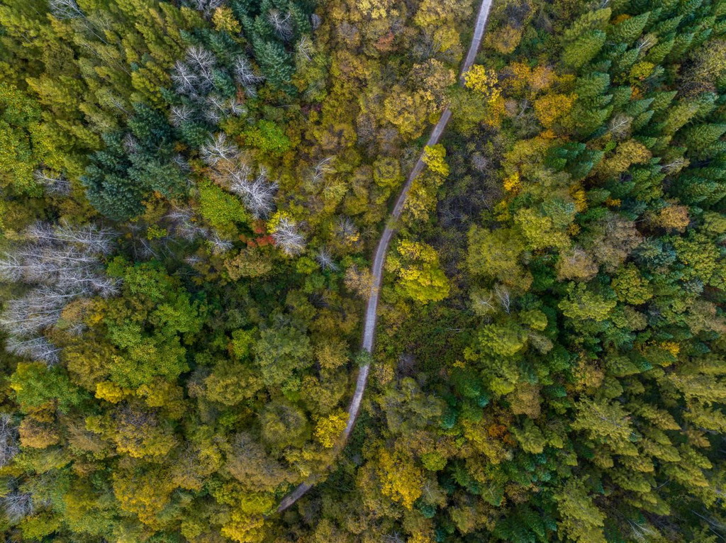 绿意盎然的长白山地区。王哲摄