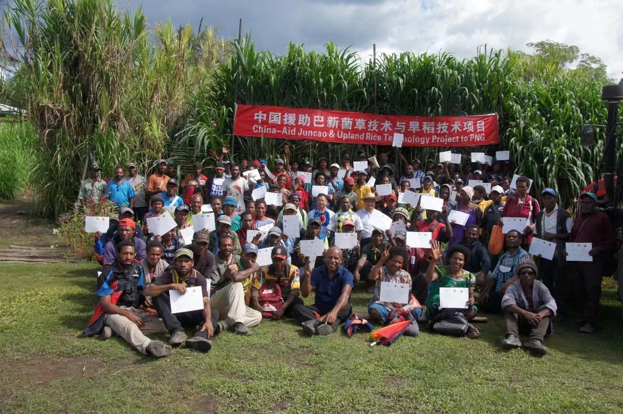 △2020年12月17日，在巴布亚新几内亚东高地省，参加中国援助巴新菌草和旱稻技术项目第9期培训班的当地民众展示结业证书。