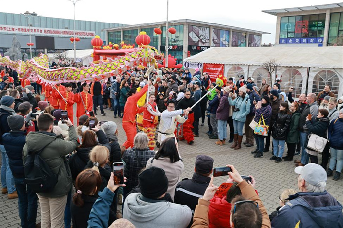 活动现场。中国驻匈牙利大使馆供图