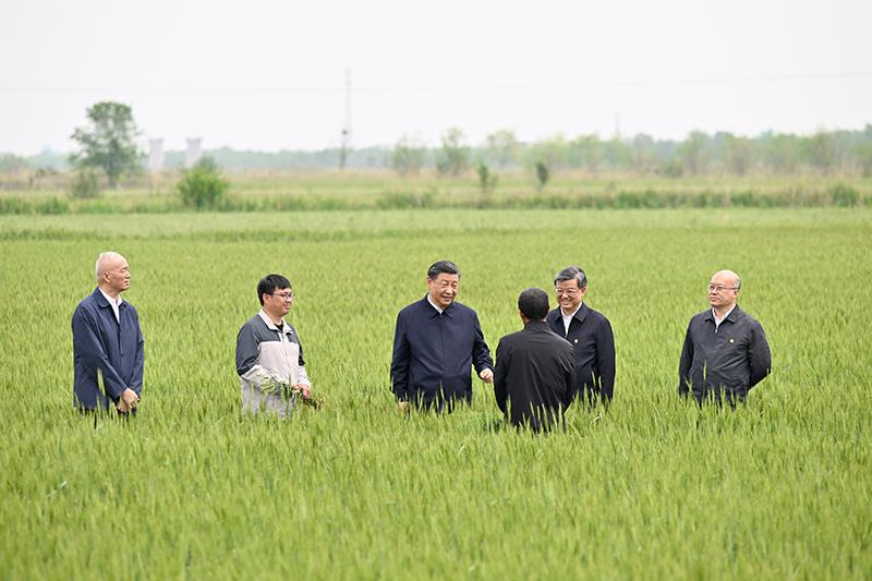 △2023年5月11日，习近平总书记在河北沧州黄骅市旧城镇仙庄片区旱碱地麦田同种植户、农技专家亲切交流。