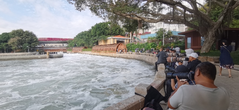 筼筜湖畔，许多摄影爱好者在拍摄白鹭。厦门市观鸟协会彭志伟供图