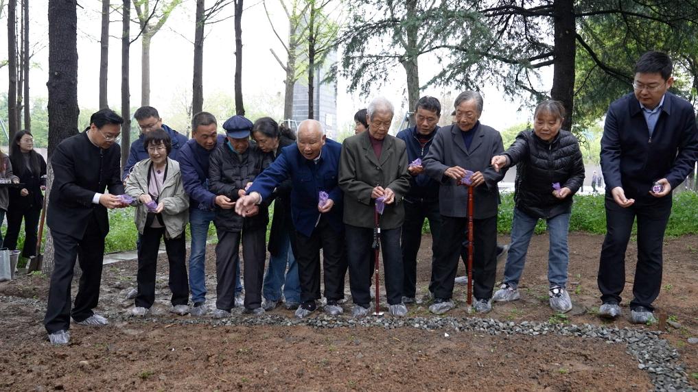 南京大屠杀幸存者代表、死难者遗属代表等在纪念馆的和平公园里，播撒下紫金草的种子。新华社记者林凯 摄