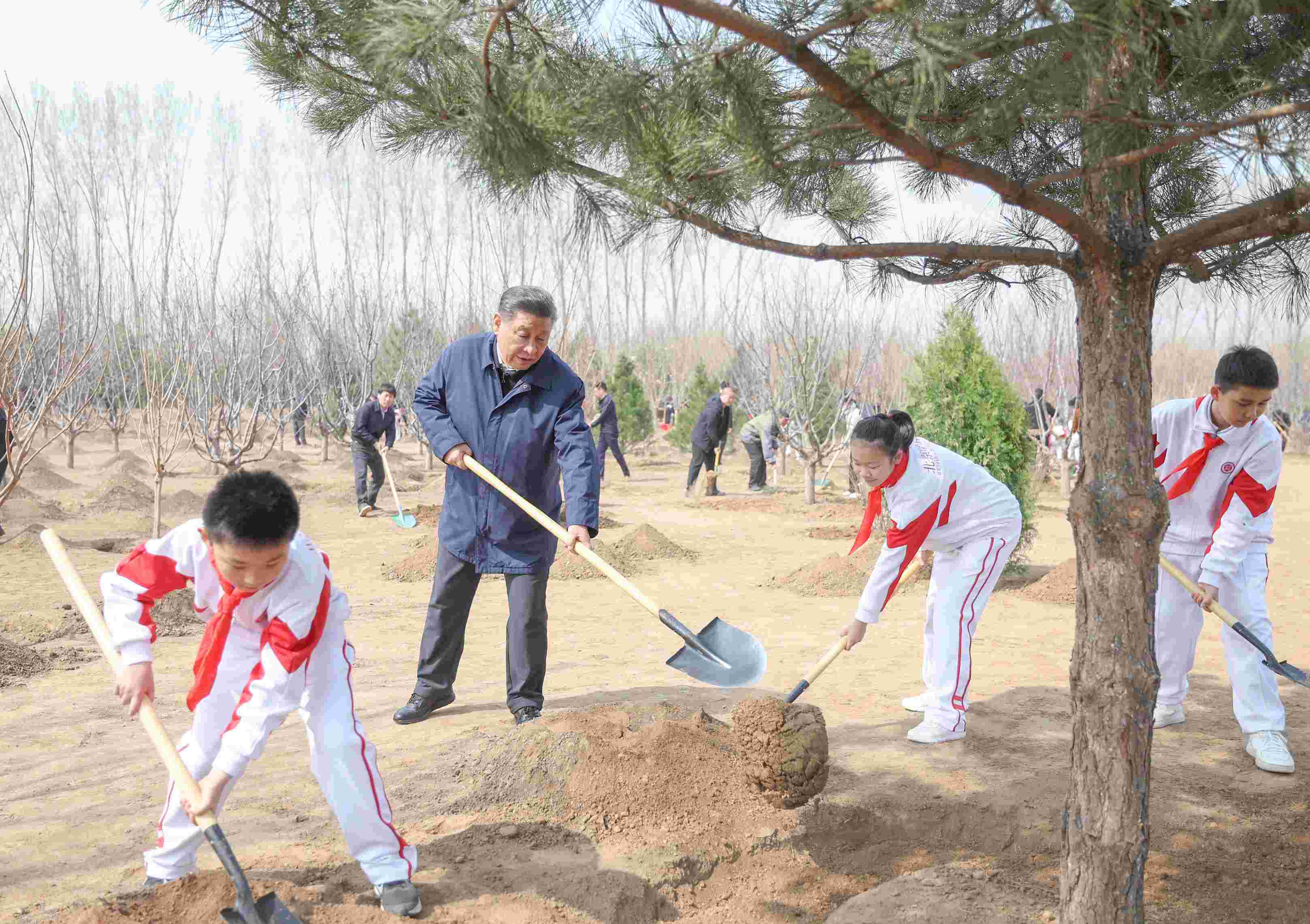 2024年4月3日，习近平总书记来到北京市通州区潞城镇参加首都义务植树活动。