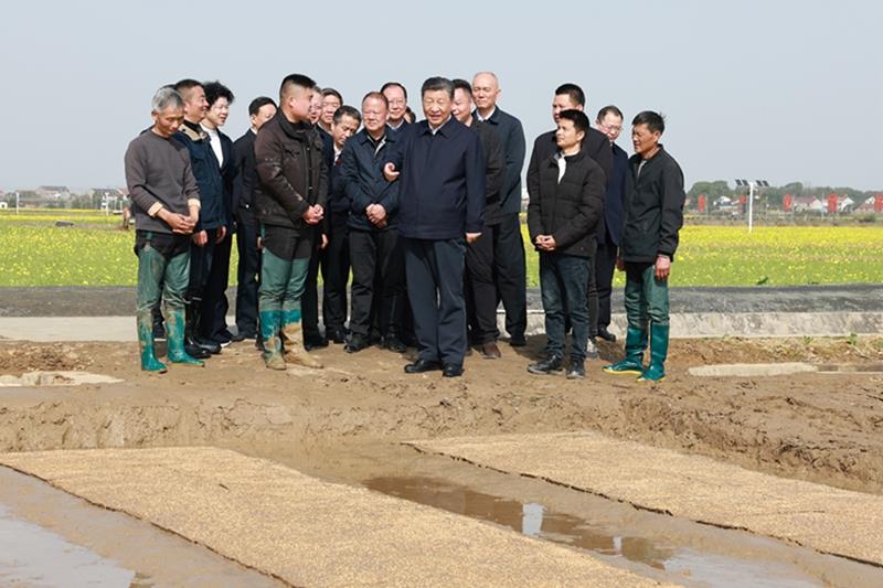 △2024年3月19日，在湖南常德市鼎城区谢家铺镇港中坪村，习近平总书记走进田间，察看秧苗培育和春耕备耕进展。