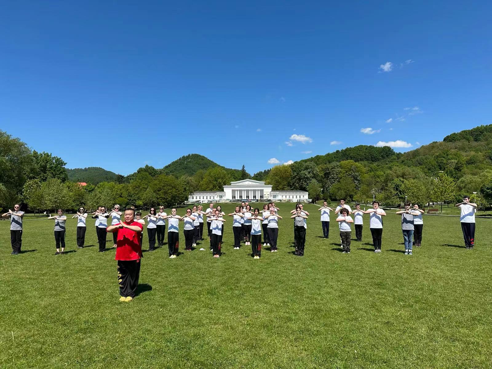 北京体育大学教授武冬带领学员进行太极拳演练。布加勒斯特中国文化中心供图