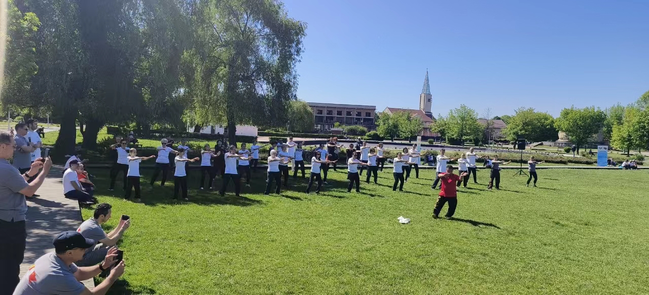 北京体育大学教授武冬做太极拳进阶教学。布加勒斯特中国文化中心供图