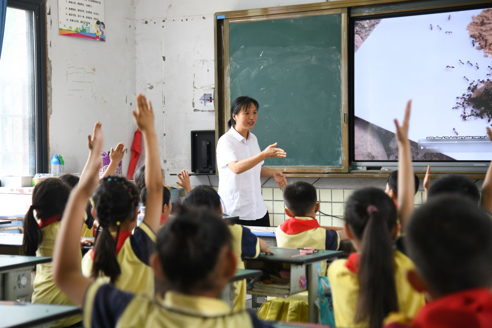 5月31日，学生在科学课上与老师互动。