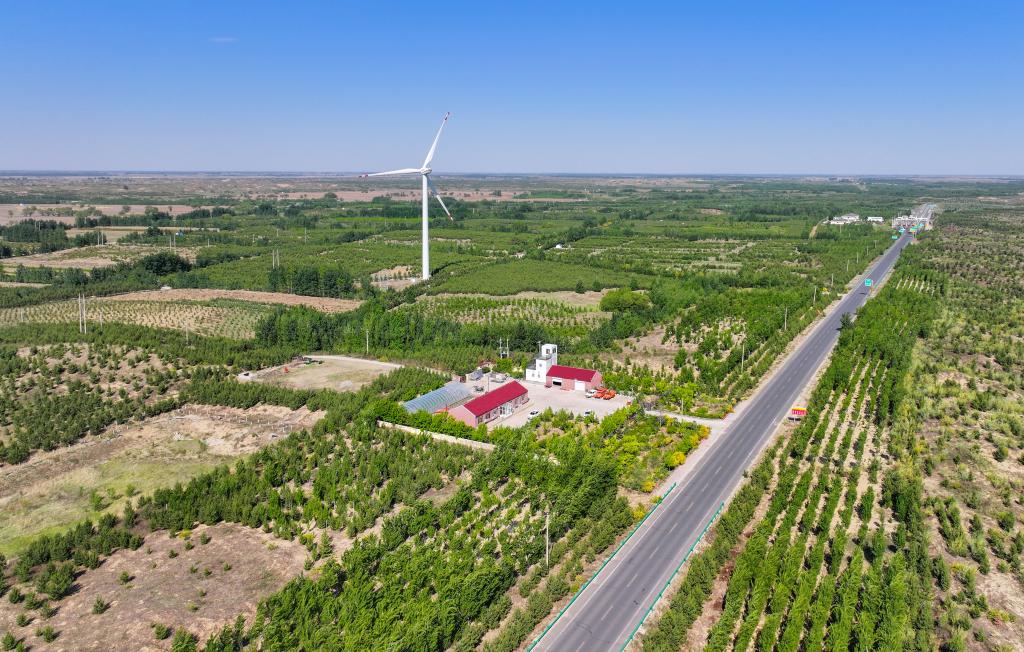 在内蒙古通辽市，科尔沁沙地正渐渐披上绿装。新华社记者连振 摄