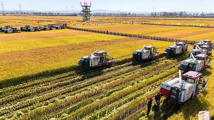 2024年9月22日，在黑龙江省重要粮食产区哈尔滨市方正县的稻田中，农机开启“黑龙江秋收第一镰”作业（无人机照片）。新华社记者 王松 摄